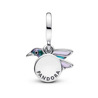 PANDORA Pandora Moments Charm 