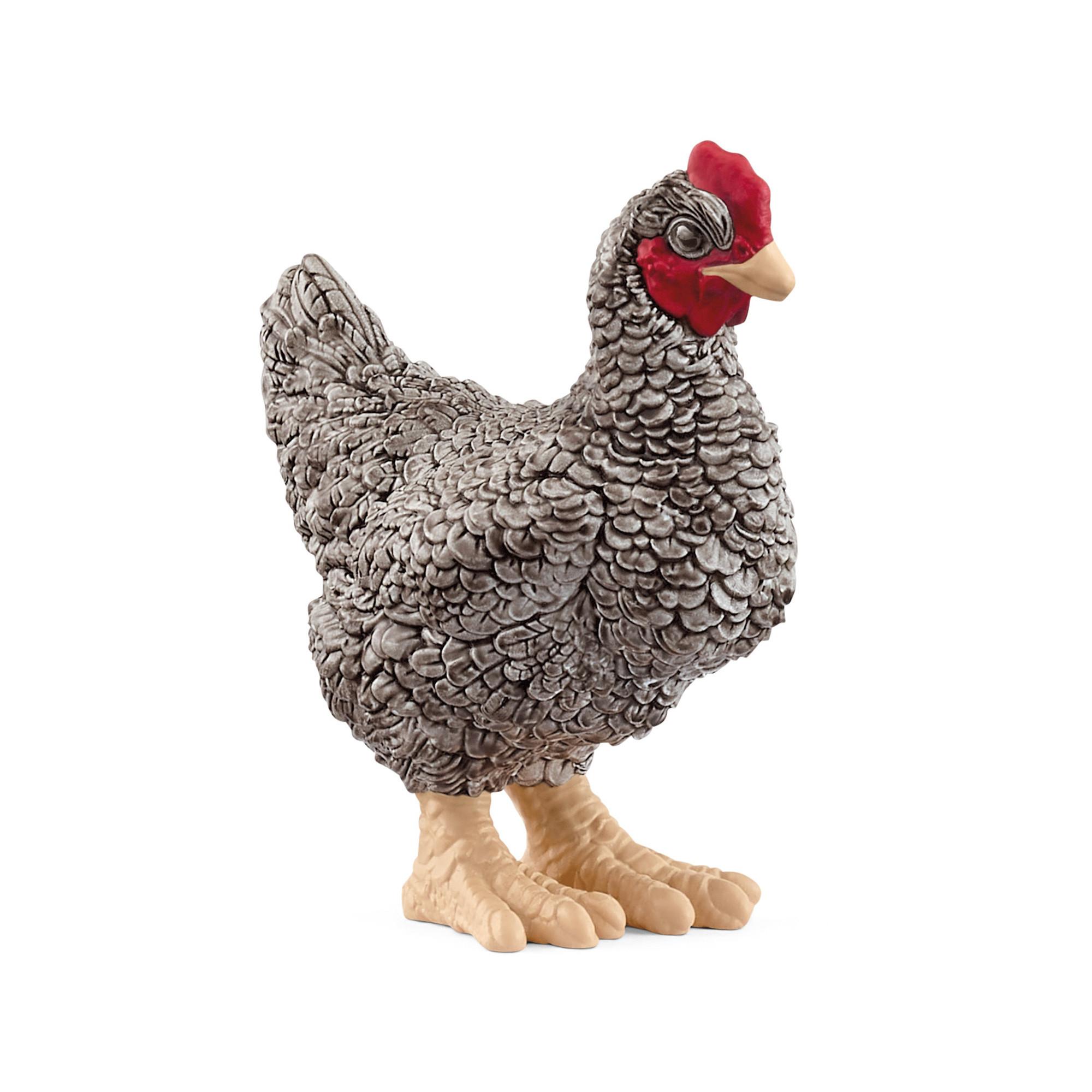 Schleich  Poule Plymouth Rock 