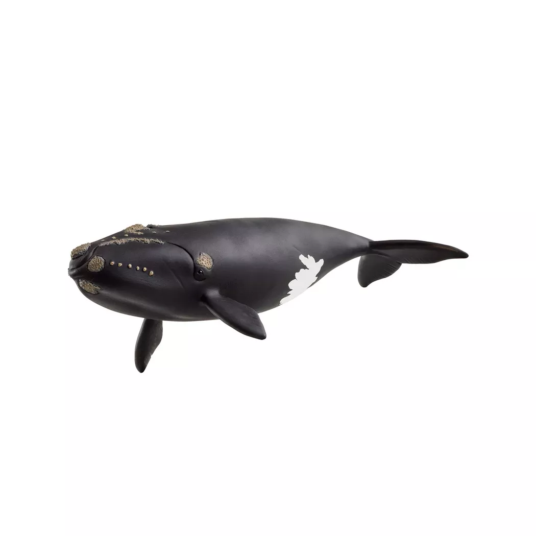 Schleich - Nordatlantischer Glattwal, Multicolor