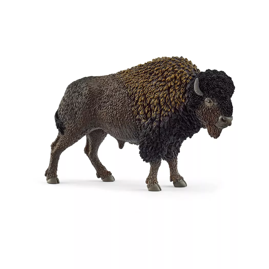 Schleich - Bison, Multicolor