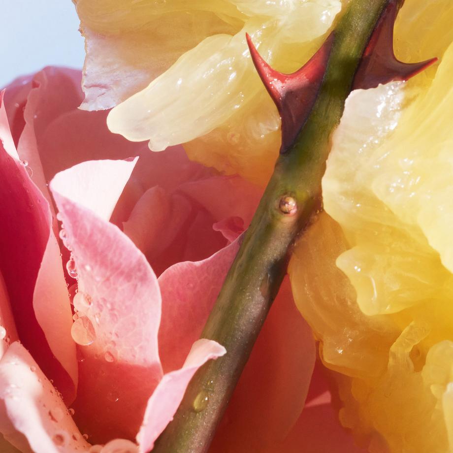 Guerlain La Petite Robe Noire, Eau De Toilette  