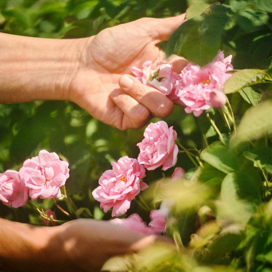 Guerlain La Petite Robe Noire, Eau De Toilette  