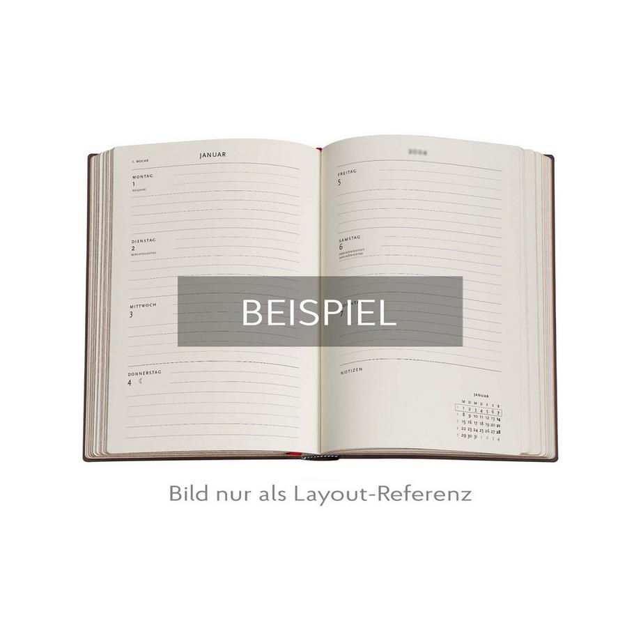 Paperblanks Agenda 2025 Magie céleste 