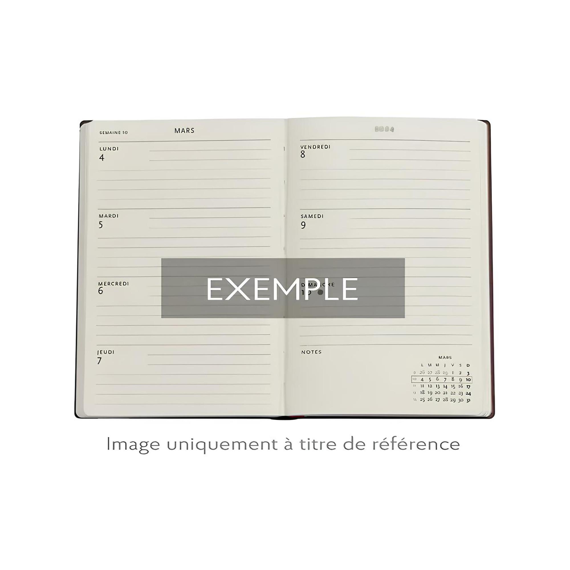 Paperblanks Agenda 2025 Asterix and Obelix 