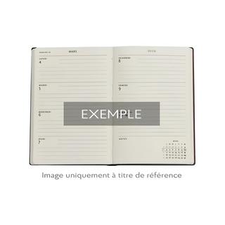 Paperblanks Agenda 2025 Asterix and Obelix 