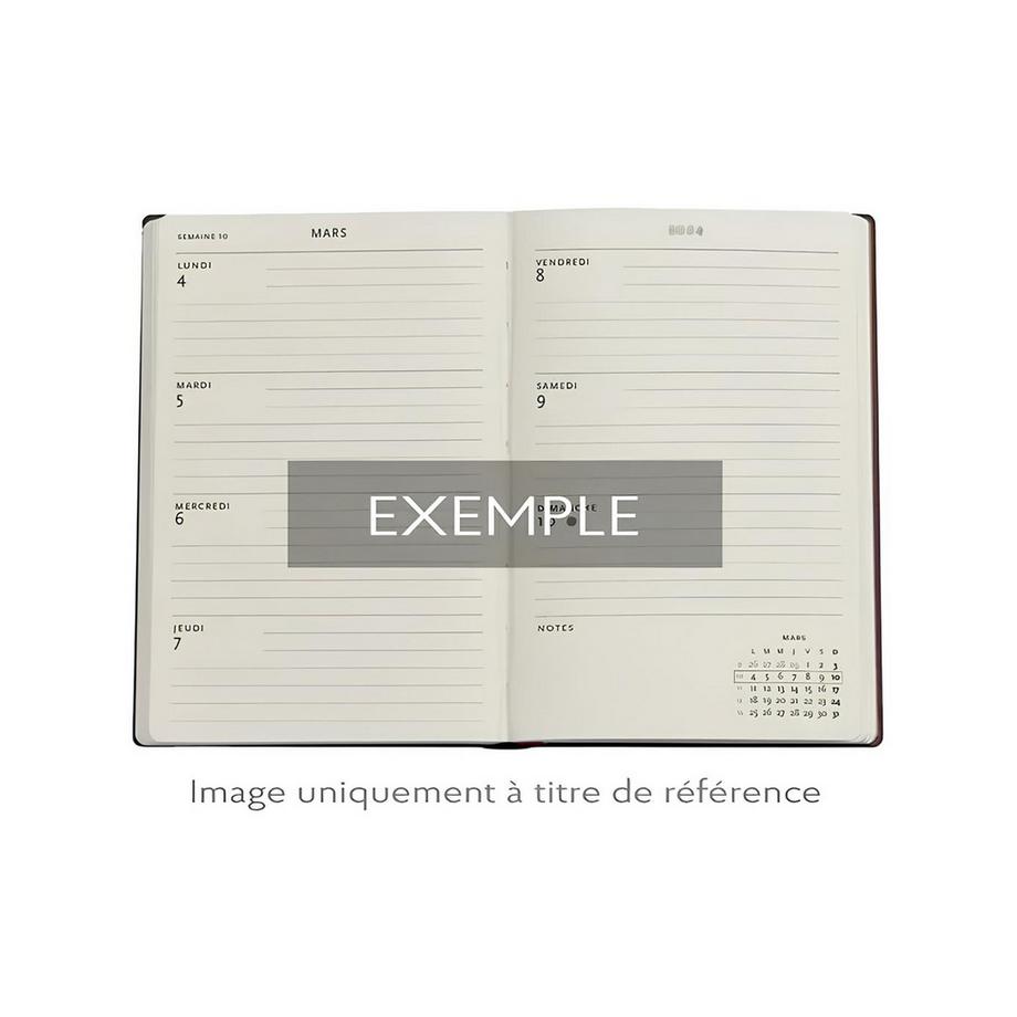 Paperblanks Agenda 2025 Astérix et Obélix 