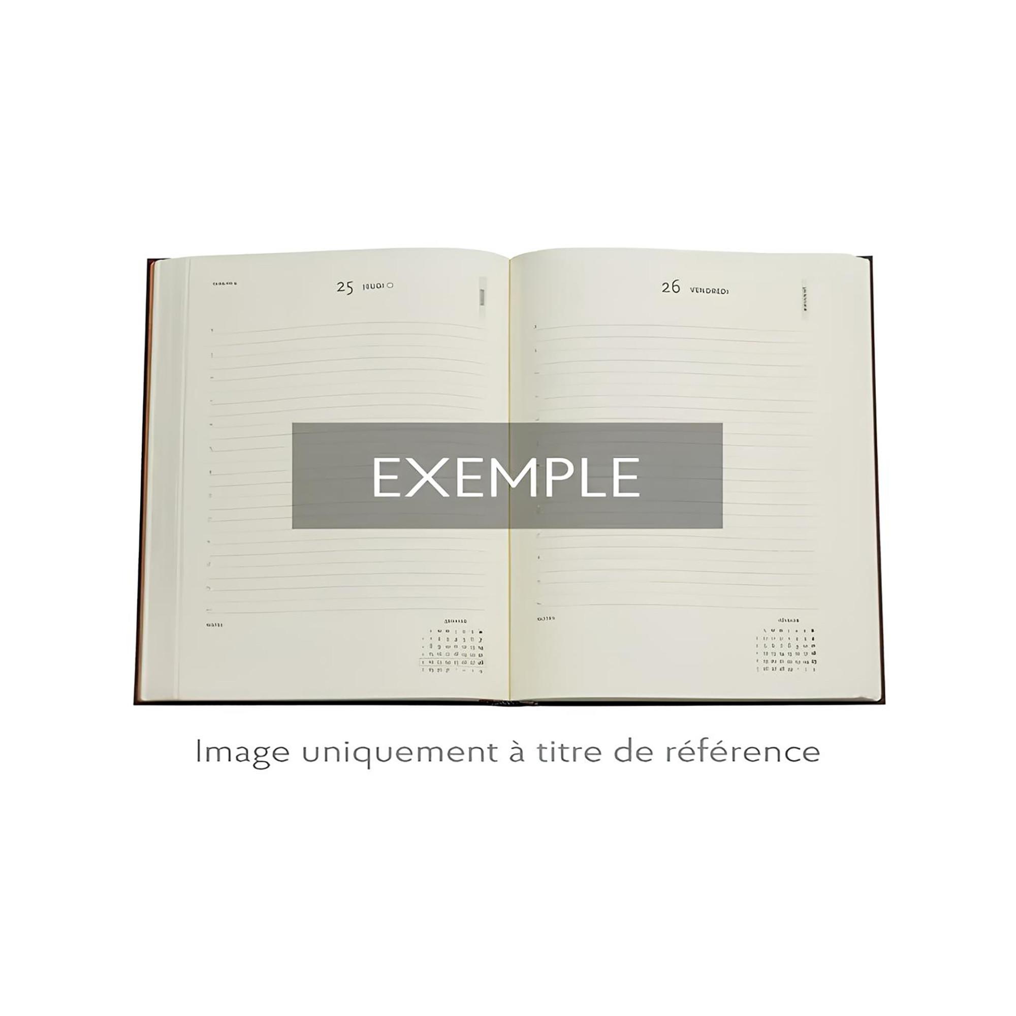 Paperblanks Agenda 2025 Festival of balloons 