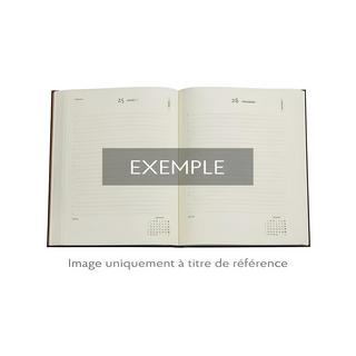 Paperblanks Agenda 2025 Festival of balloons 