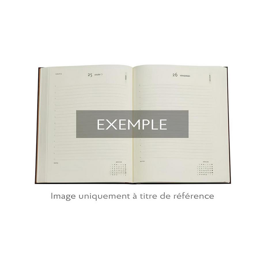 Paperblanks Agenda 2025 Festival der Ballons 