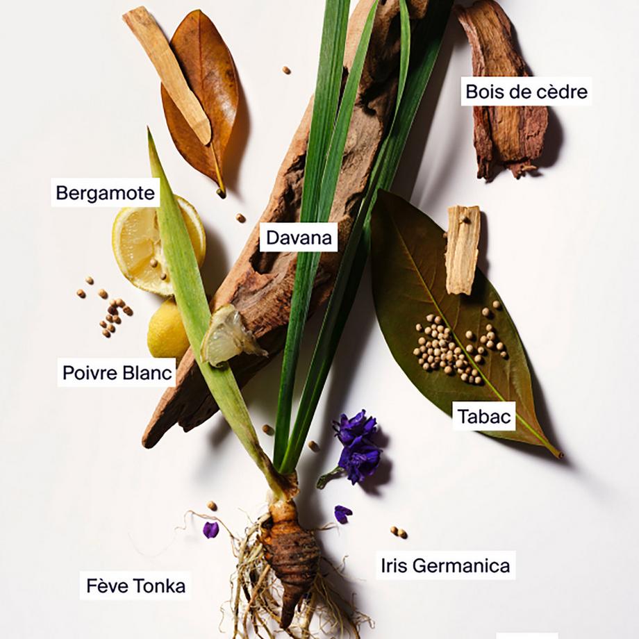 HORACE & Horace,  Eau de Parfum  