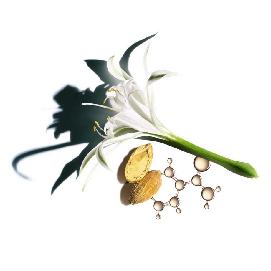 CLARINS  Nutri-Lumière SPF 15 - Revitalisierende Tagescreme bei Pigmentflecken SPF 15 