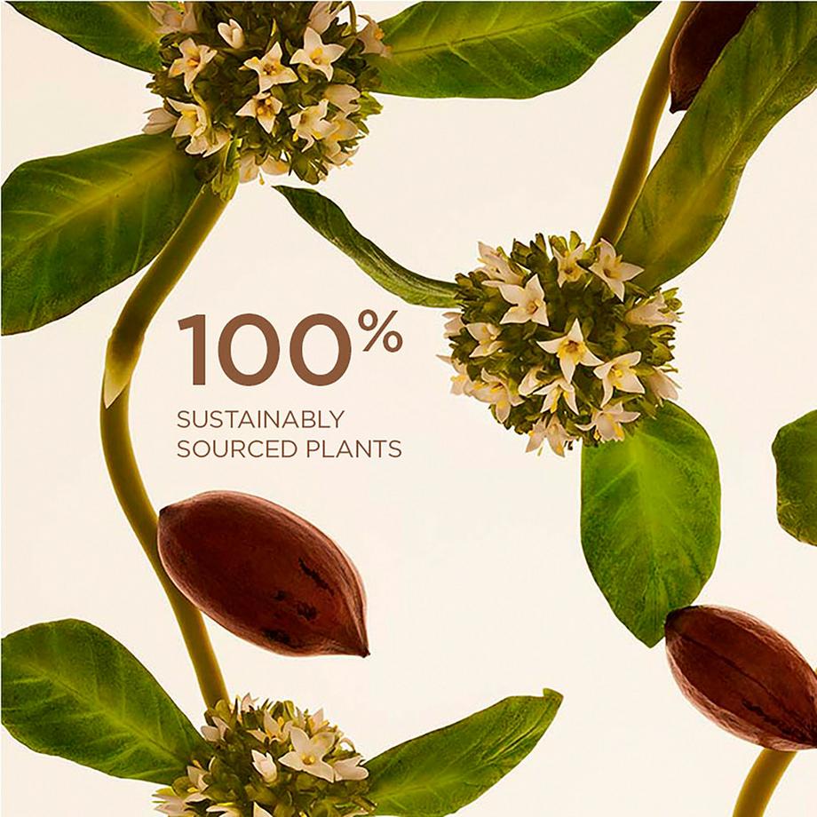 CLARINS  Extra-Firming Jour SPF 15 - Straffende Tagescreme für das Gesicht SPF 15 (Nachfüllpackung) 