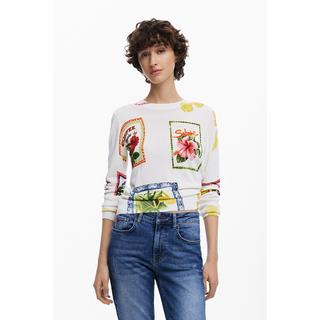 Desigual  Pullover 