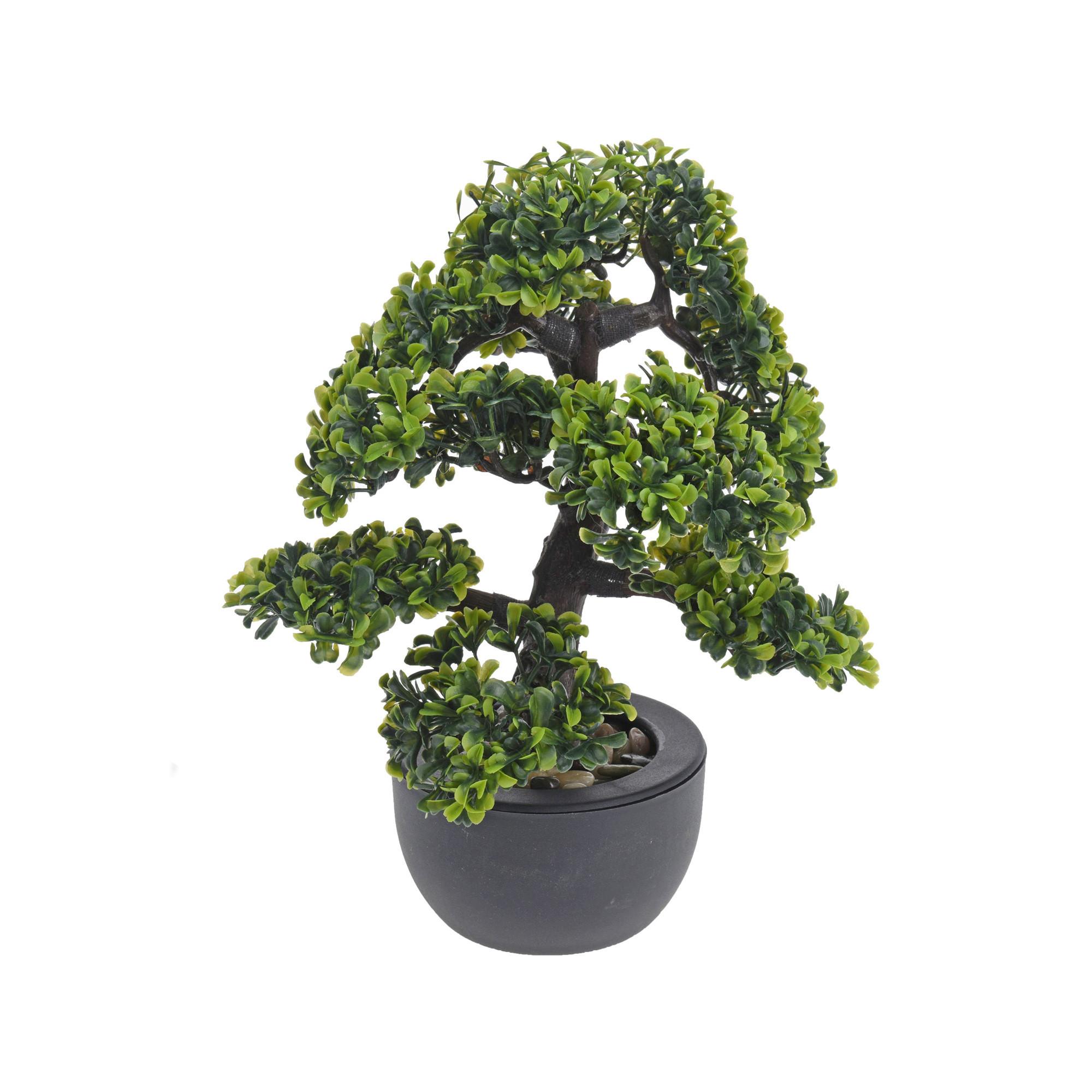 Manor Pianta artificiale Bonsai 