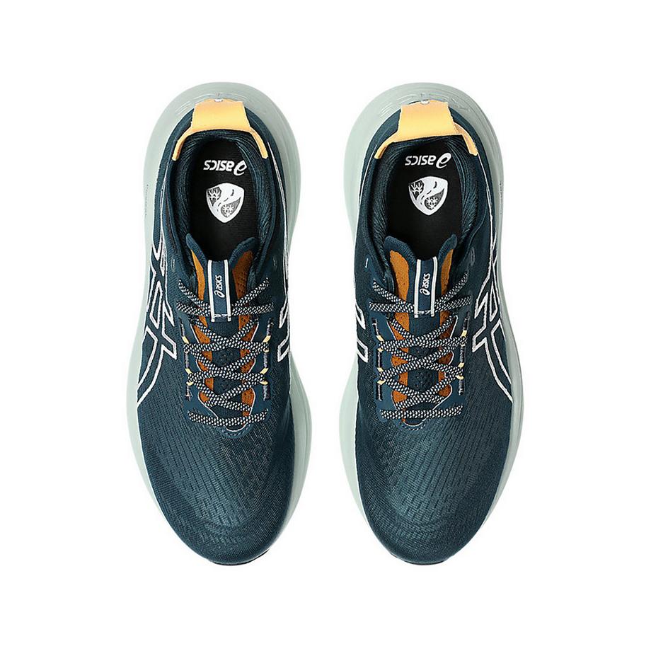 asics Gel-Nimbus 27 Tr Men Chaussures de Running  