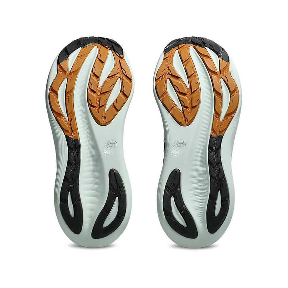 asics Gel-Nimbus 27 Tr Men Chaussures de Running  