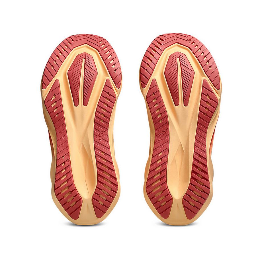 asics NOVABLAST 5 Lady Laufschuhe 