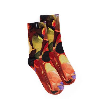 Desigual  Chaussettes 