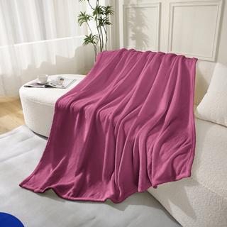 Flair Couverture polaire Shiny 