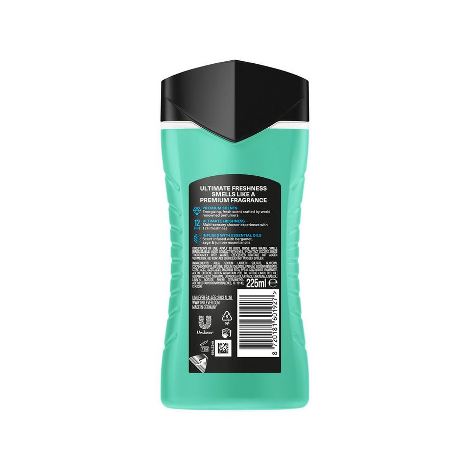 AXE  Duschgel Aqua Bergamot Trio 