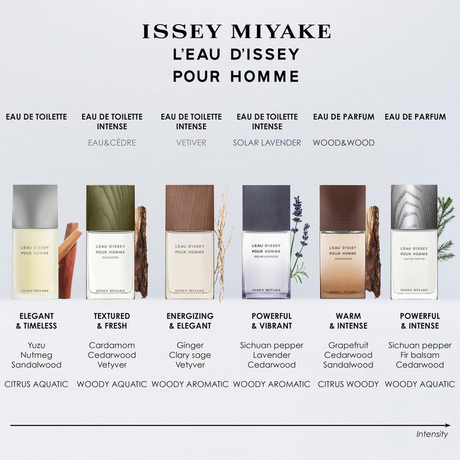 ISSEY MIYAKE Eau d'Issey pour Hommes, Eau de Parfum  