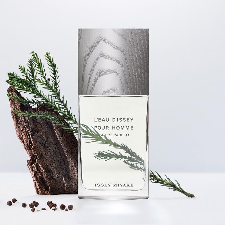 ISSEY MIYAKE Eau d'Issey pour Hommes, Eau de Parfum  