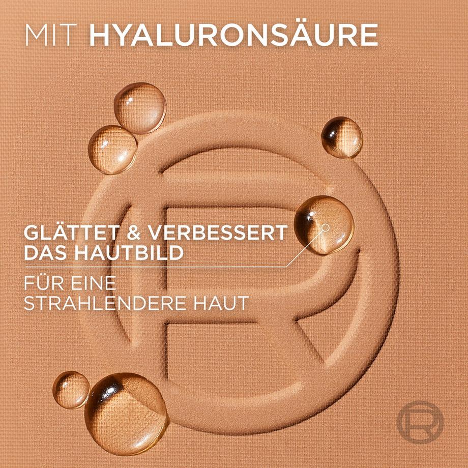 L'OREAL  Polvere True Match 