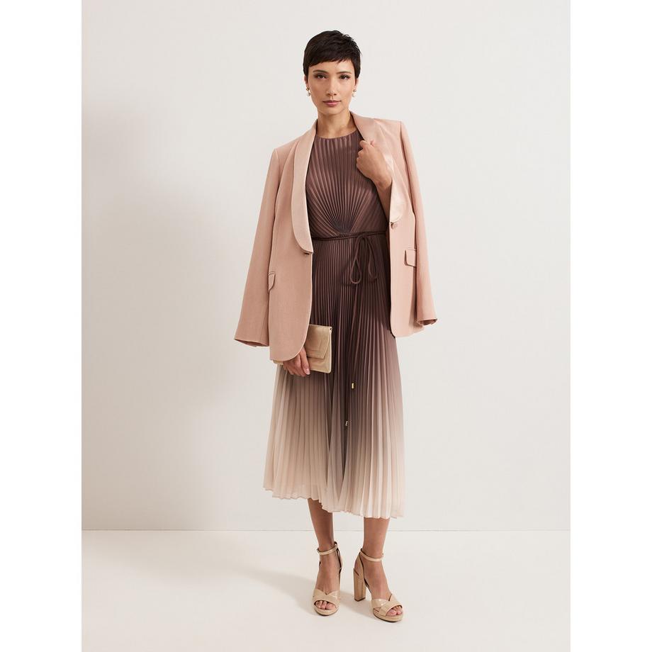 Phase Eight Simara Plissiertes Ombre Midikleid  