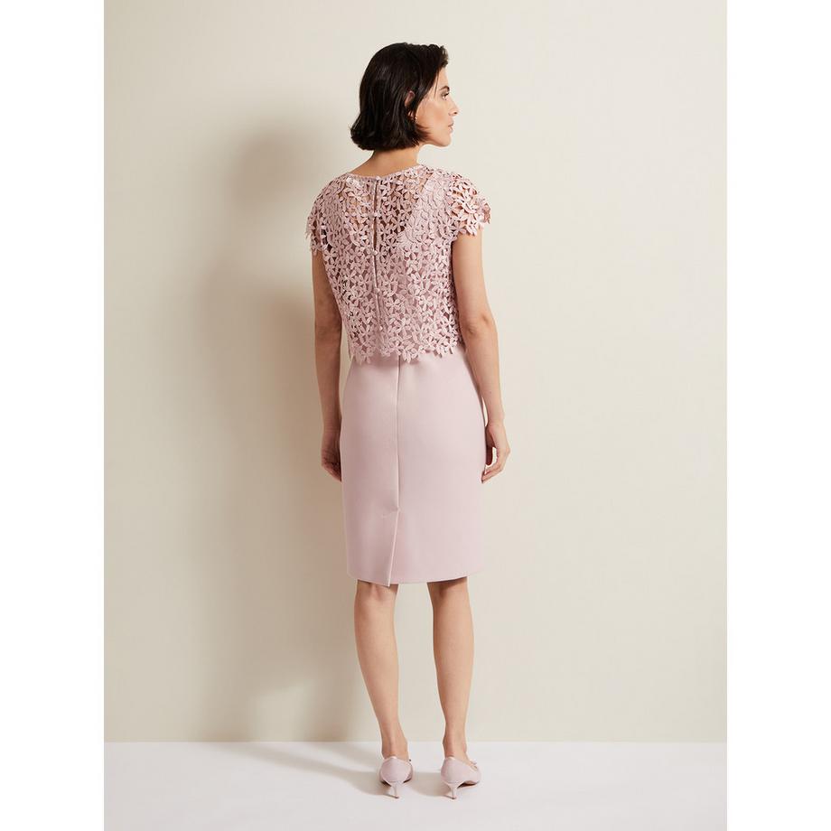 Phase Eight Daisy Blumen Spitzen Overlay Kleid  