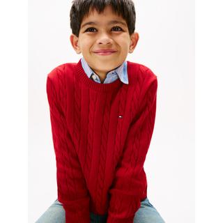 TOMMY HILFIGER  Pullover 