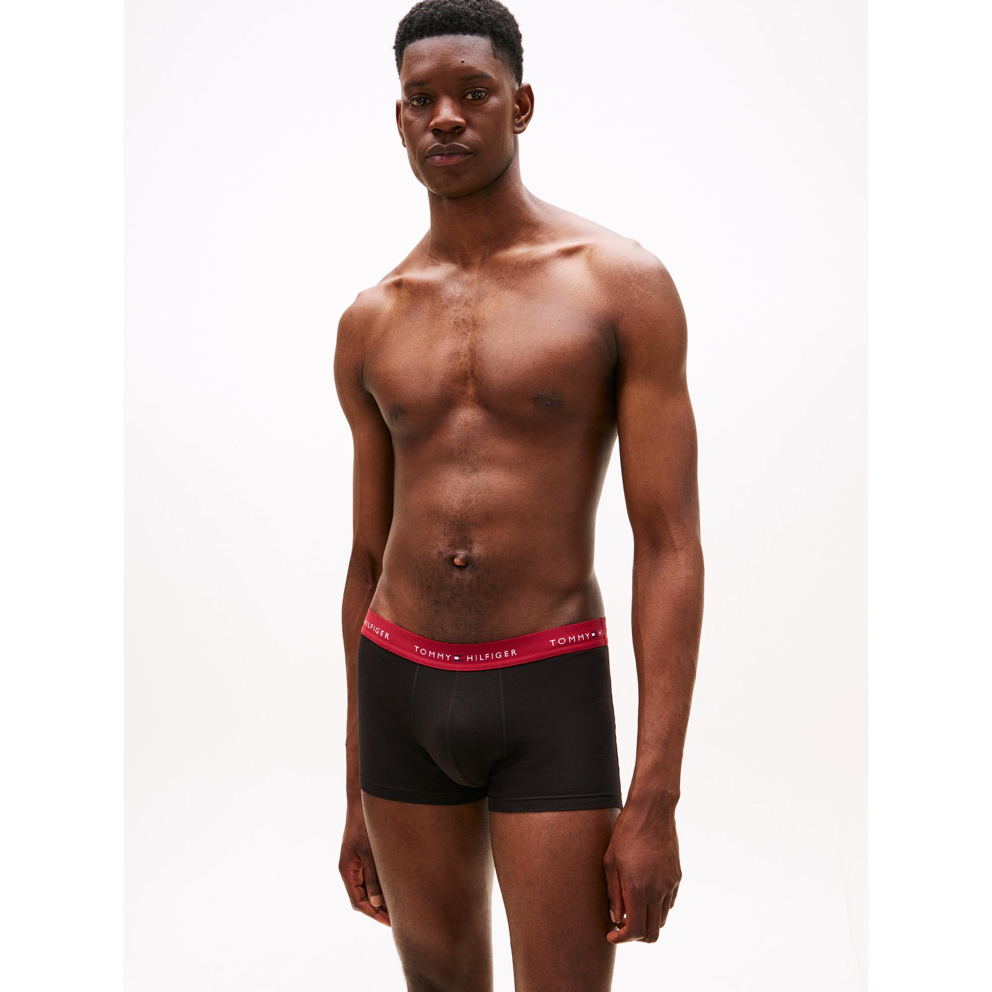 TOMMY HILFIGER 3P Trunk Boxer Briefs Triopack  