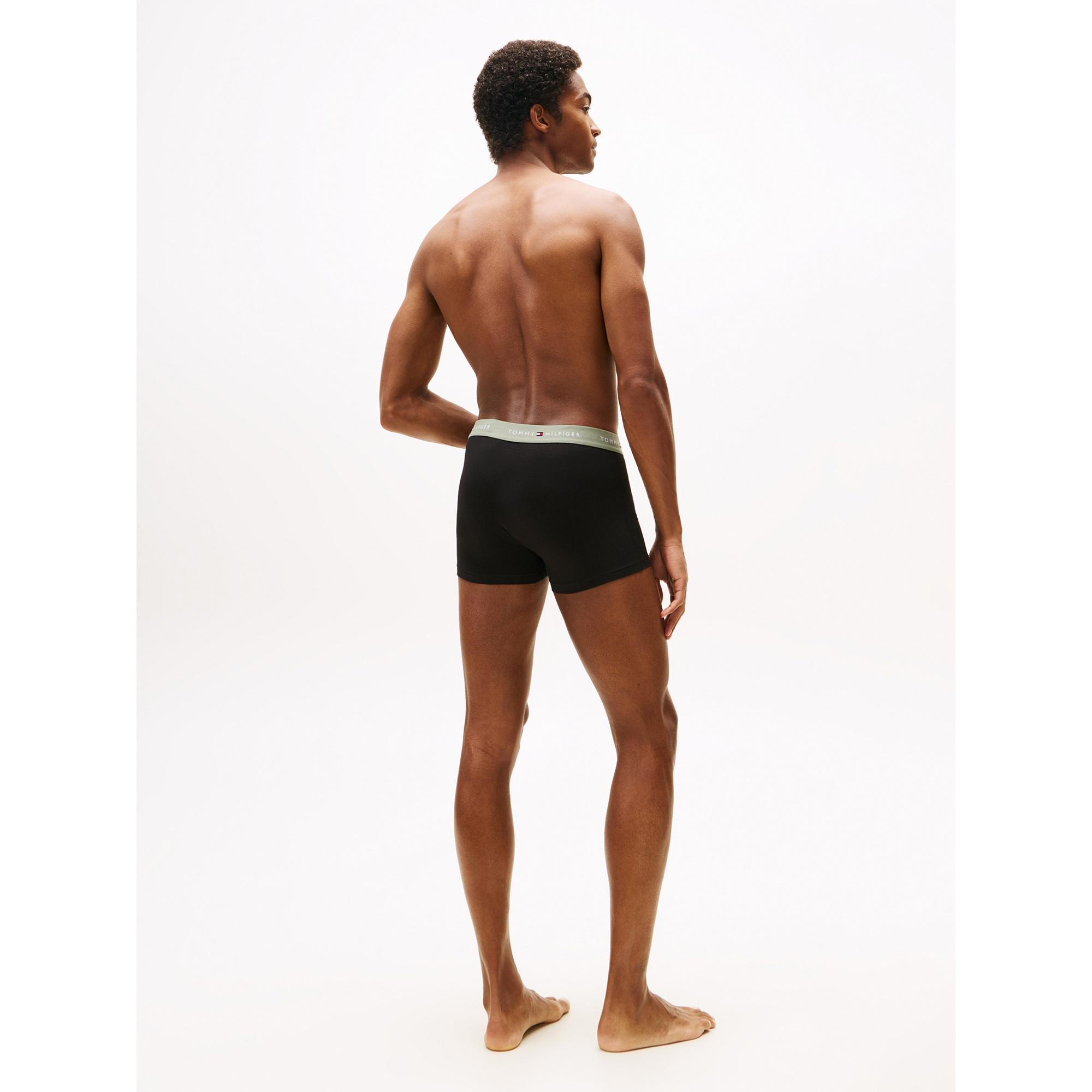 TOMMY HILFIGER 3P Trunk Boxer Briefs Triopack  