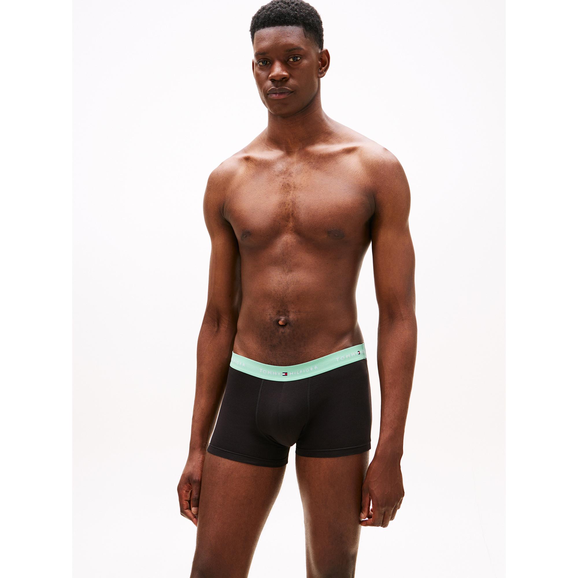 TOMMY HILFIGER 3P Trunk Boxer Briefs Triopack  