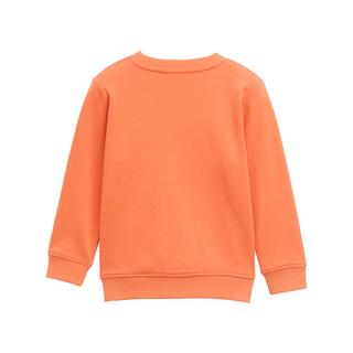 TOM TAILOR  Sweatshirt 