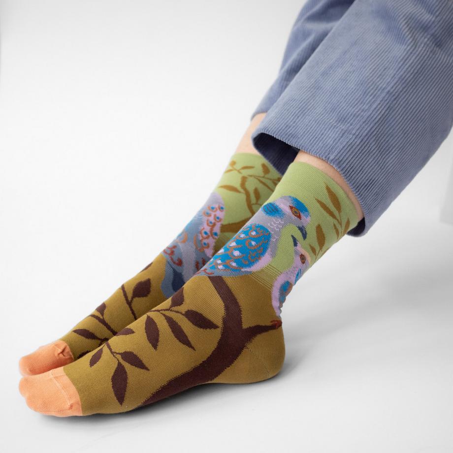 Bonne Maison Tourterelle Calze Fantasia Uccelli  