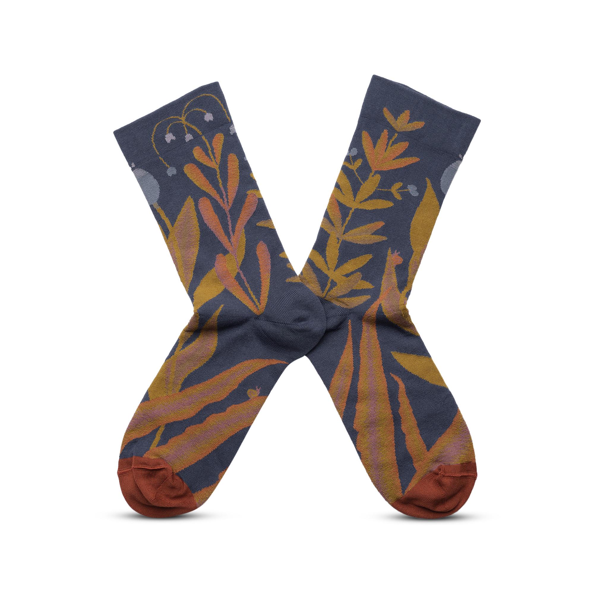 Bonne Maison Plante Calze Fantasia  