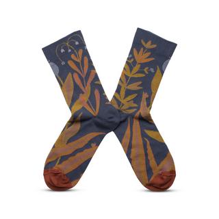 Bonne Maison Plante Calze Fantasia  