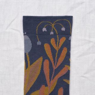 Bonne Maison Plante Calze Fantasia  