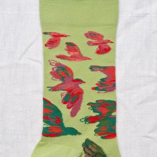 Bonne Maison Oiseaux Chaussettes Motif Oiseau  