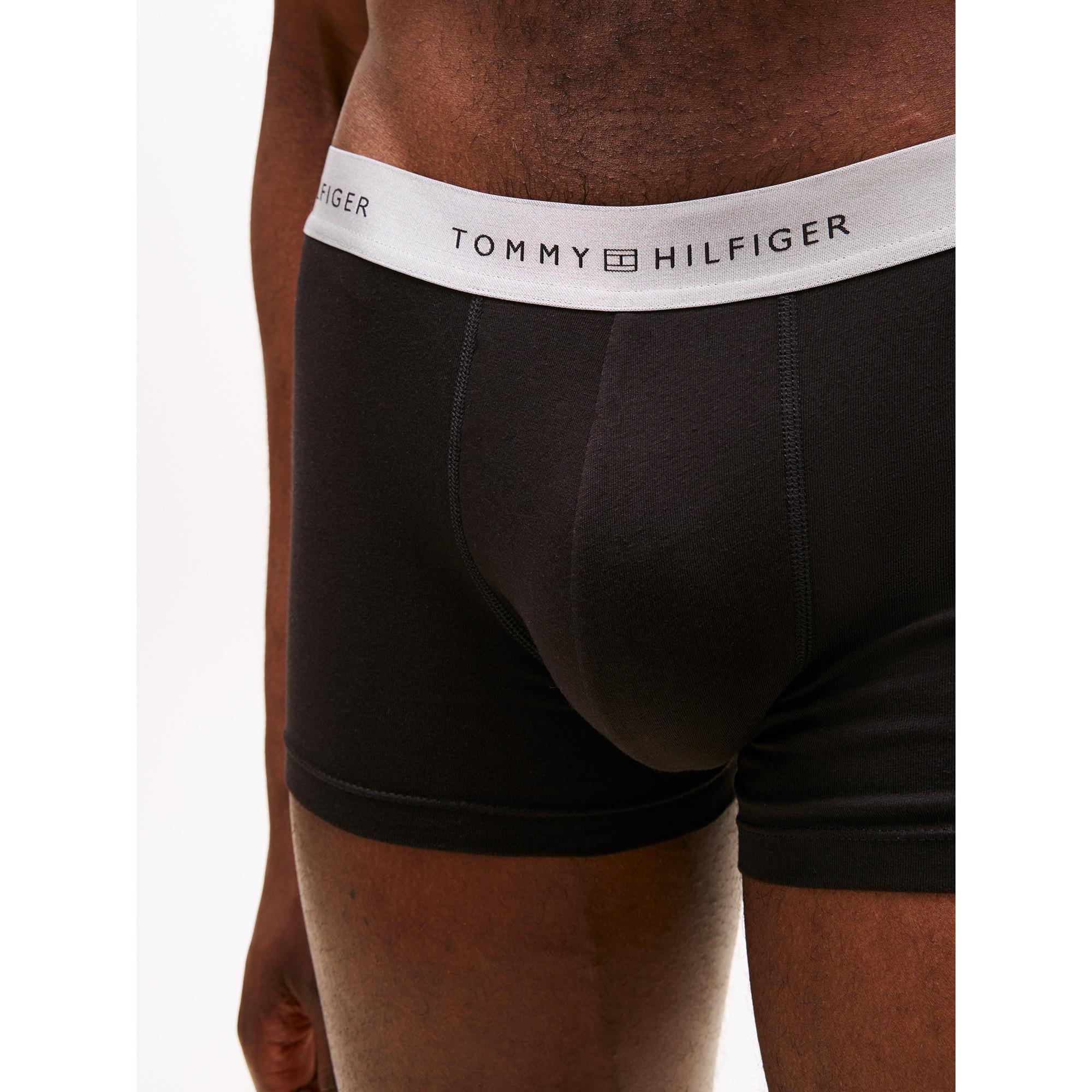 TOMMY HILFIGER 3P Trunk Metallic Boxer Briefs  