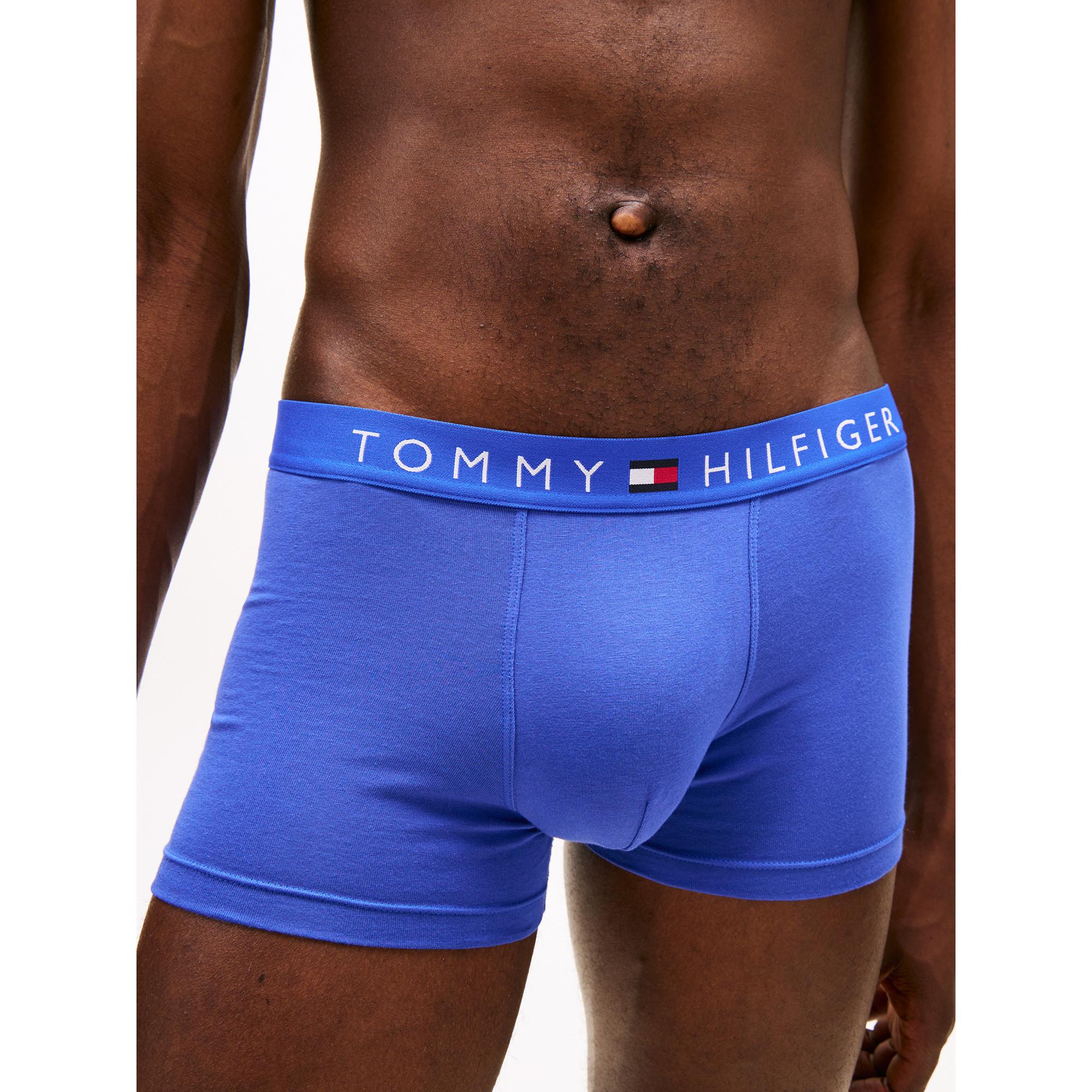 TOMMY HILFIGER 3P Trunk DTM Boxer Briefs  