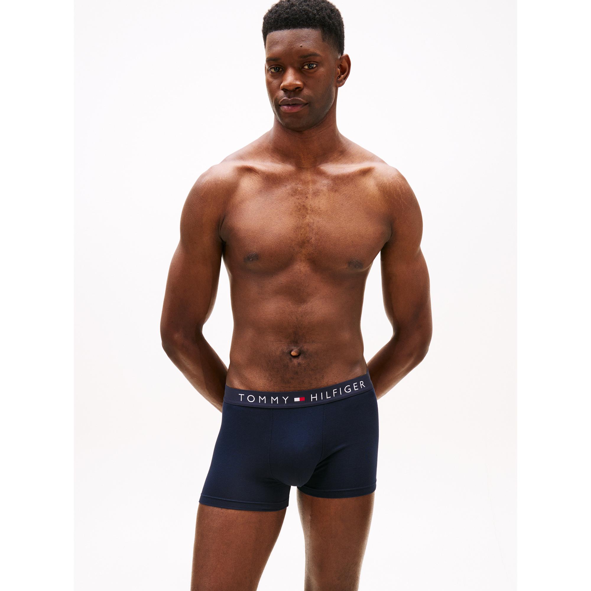 TOMMY HILFIGER 3P Trunk DTM Boxer Briefs  