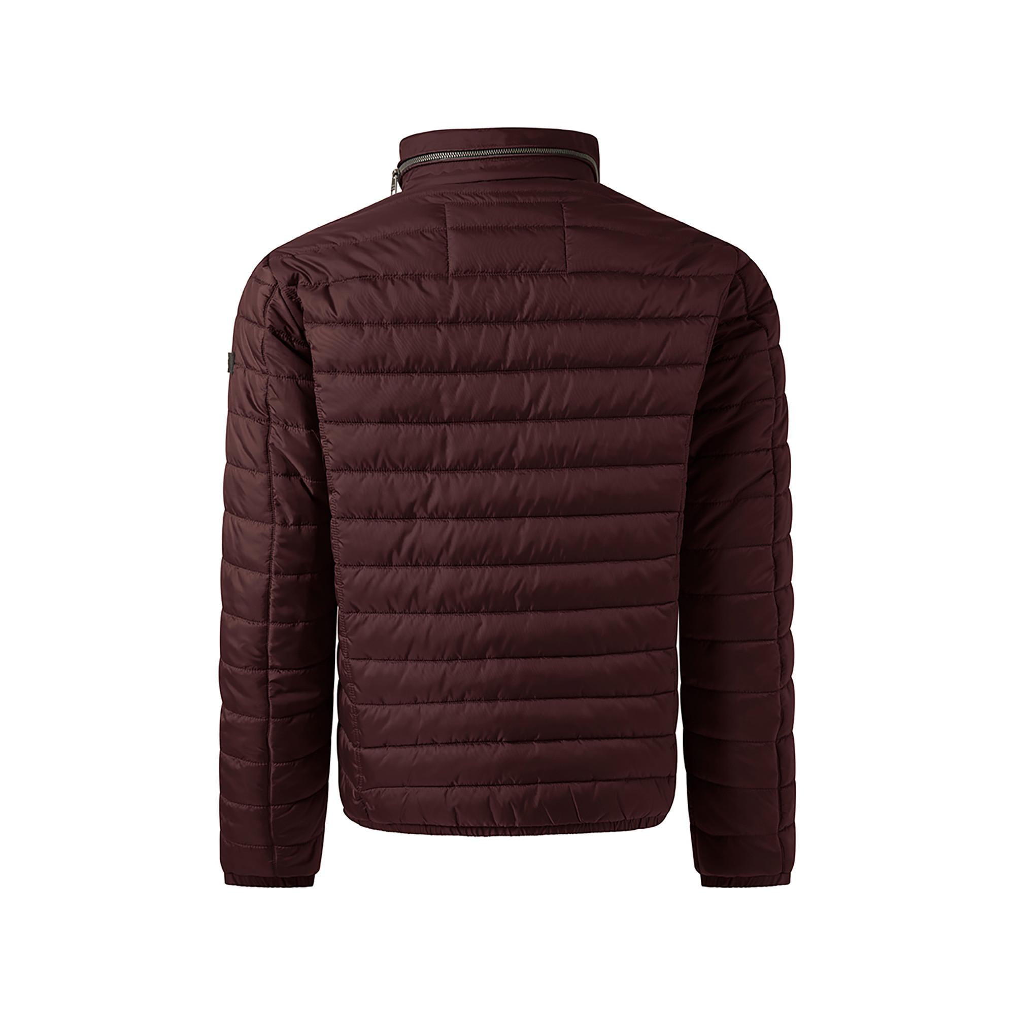 pierre cardin Giubbotto Blouson  