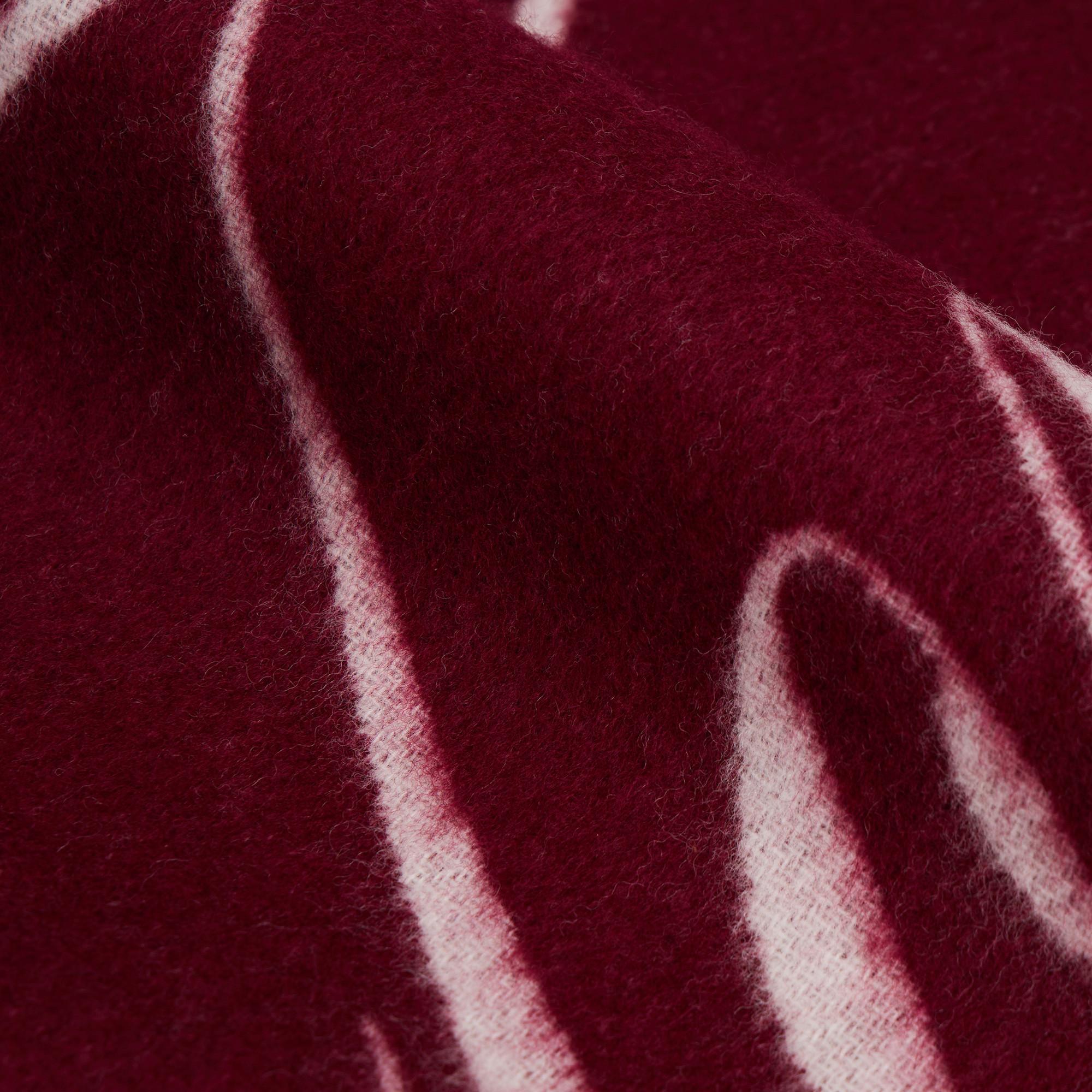 TOMMY HILFIGER TOMMY SCRIPT Logo Écharpe  