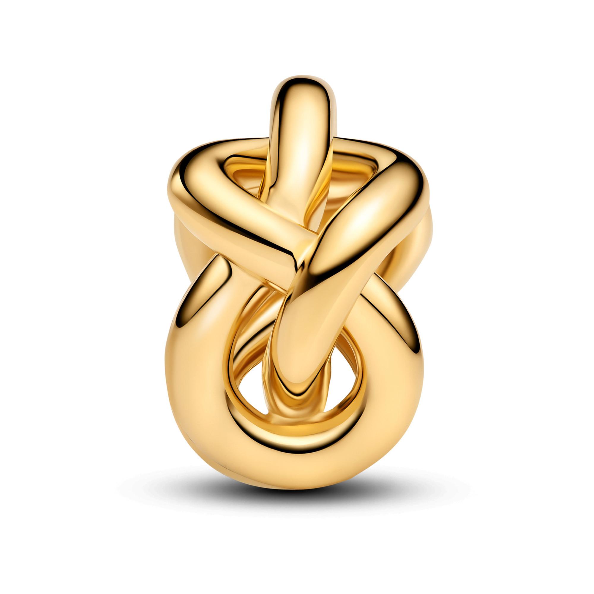 PANDORA Pandora Moments Charm 