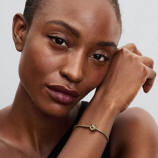 PANDORA Pandora Moments Charm 