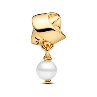 PANDORA Pandora Moments Charm 