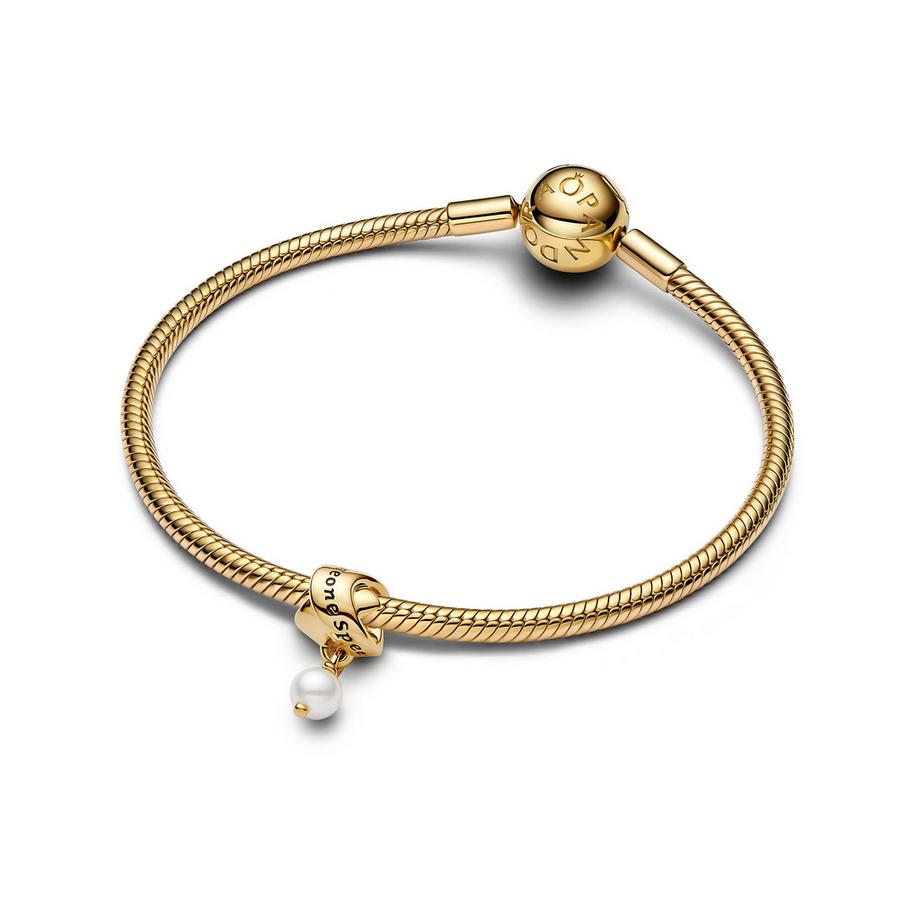 PANDORA Pandora Moments Charm 
