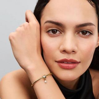 PANDORA Pandora Moments Charm 