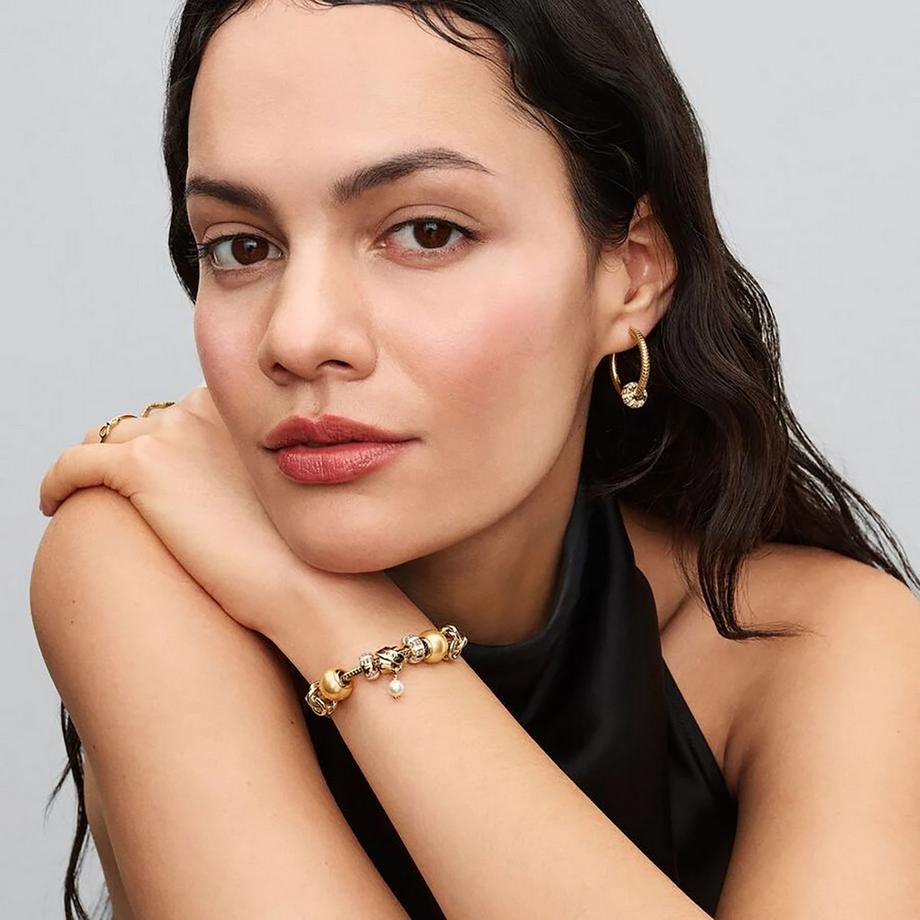 PANDORA Pandora Moments Charm 